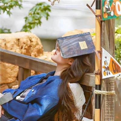 使用下方 20 个影片名，按顺序一一对应，不要改动片名文字，只根据片名和括号内类型提示来虚构全新的故事内容： 林哥凯旋 如何被爱 长颈鹿上学去 不可告人 星河战队5 大狗民 闪闪的红星1974 血腥警长 午夜佩拉宫2 祭屋 火拼时速2 萨维奇一家 摇滚师匠：细野晴臣 胭脂虎新传 远东第一监狱 梦游乐园 纳粹集中营 依巴拉度时间 铁笼 斧头之后